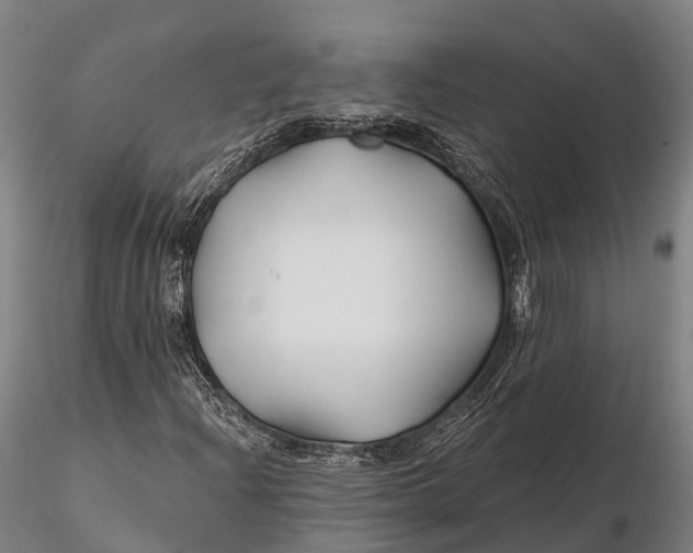 X0000115691204200912031435