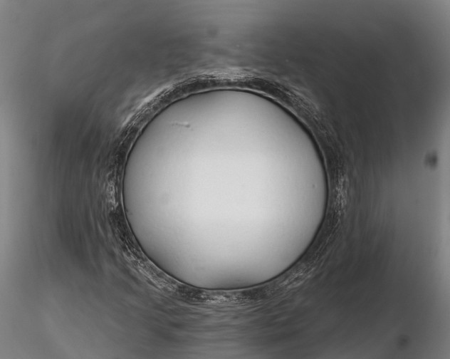 X0000115691205200912031435