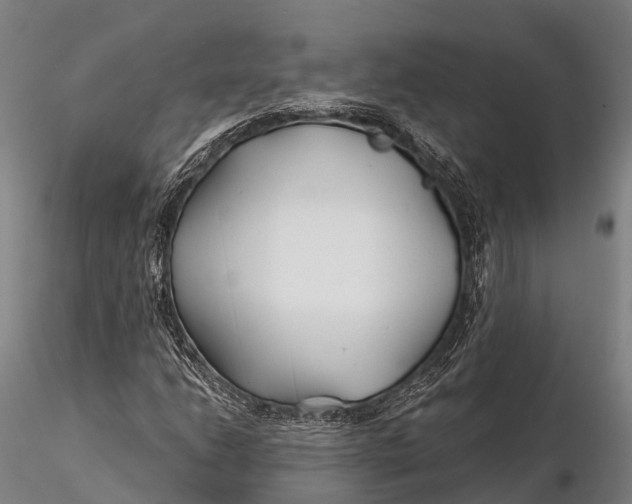 X0000115691206200912031435