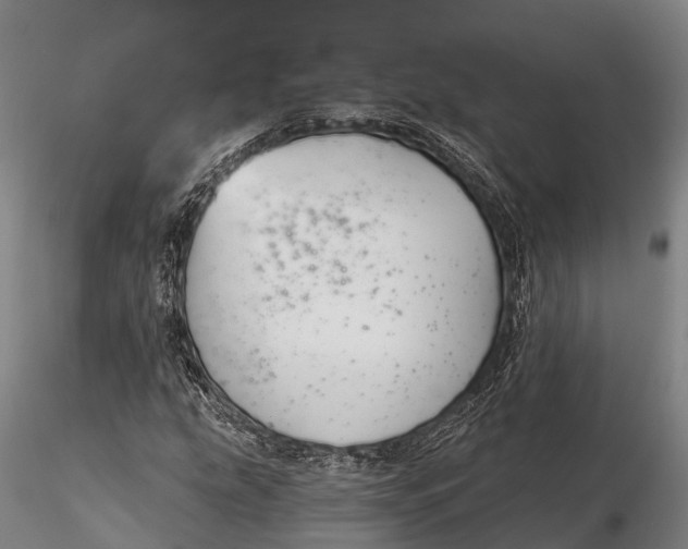 X0000115691207200912031435