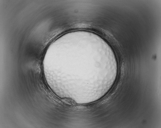 X0000115691209200912031435