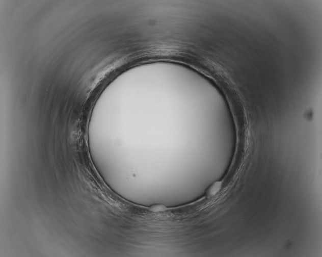 X0000115691210200912031435