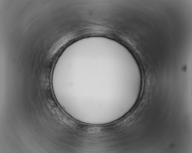 X0000115691211200912031435