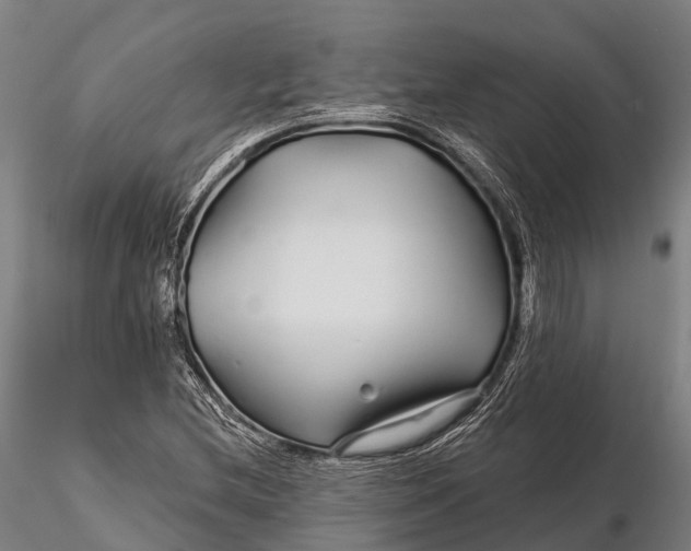 X0000115691212200912031435