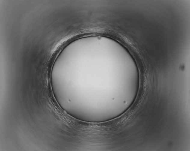 X0000115691214200912031435