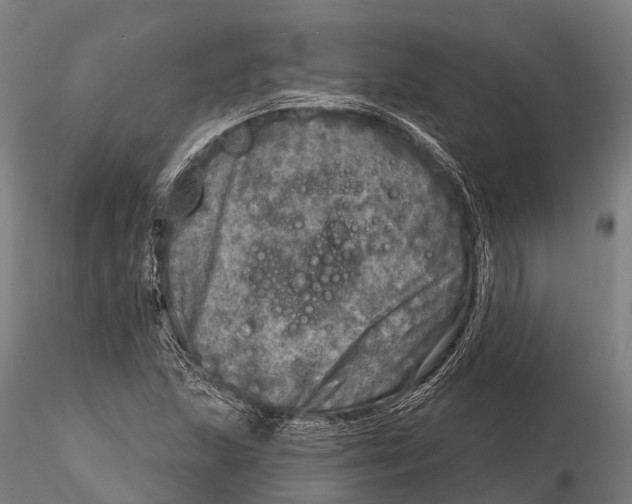 X0000115691215200912031435