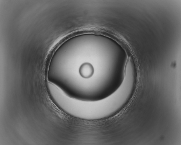 X0000115691216200912031435