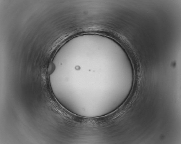 X0000115691217200912031435