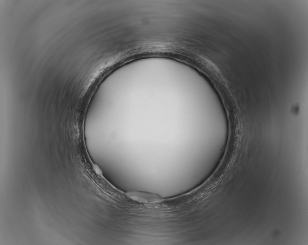 X0000115691218200912031435