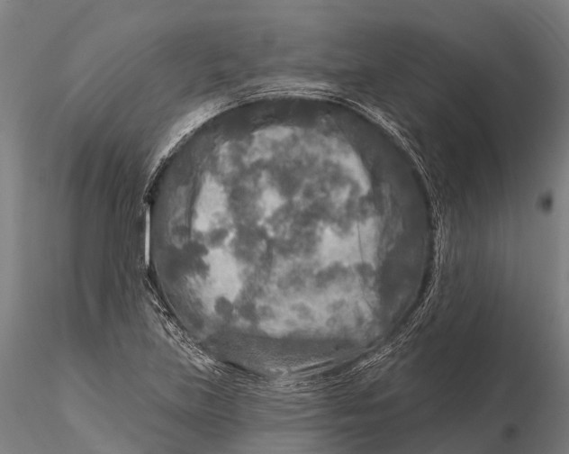 X0000115691219200912031435