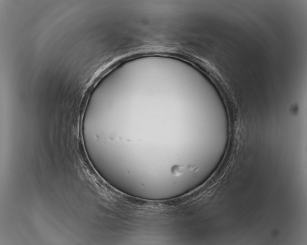 X0000115691220200912031435