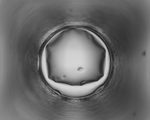 X0000115691221200912031435