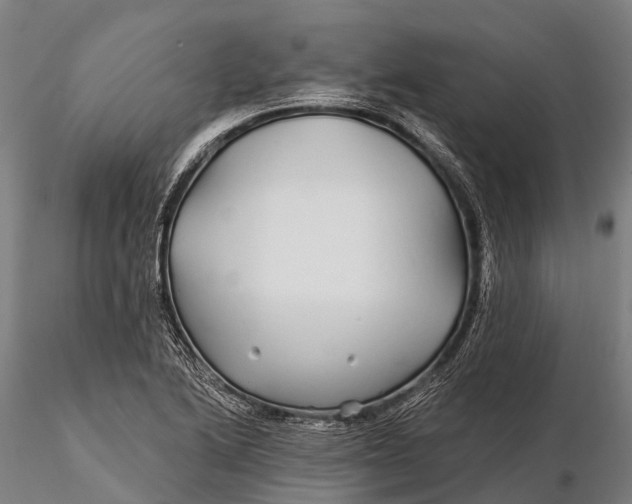 X0000115691222200912031435