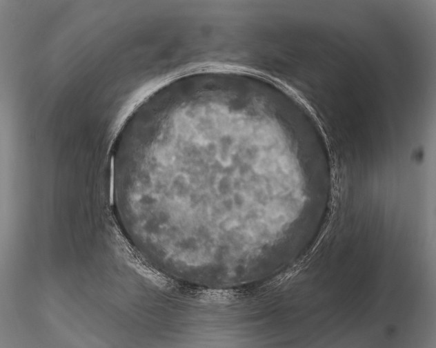 X0000115691223200912031435