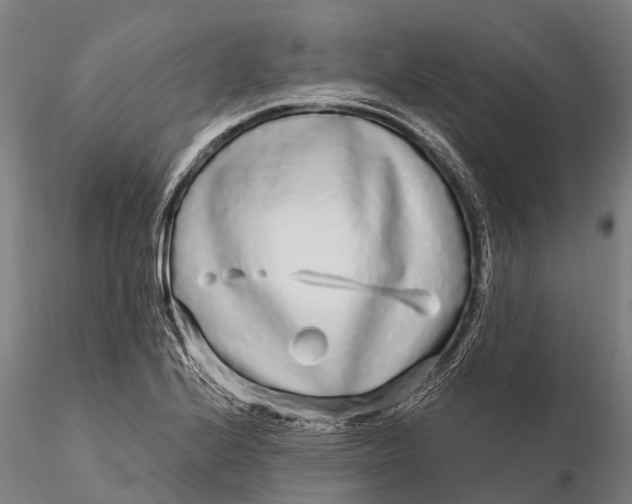 X0000115691224200912031435