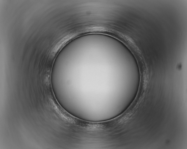 X0000115691225200912031435