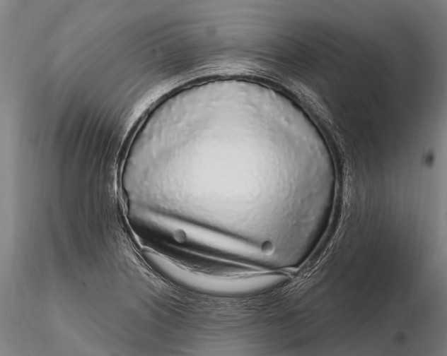 X0000115691226200912031435