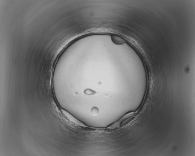 X0000115691228200912031435