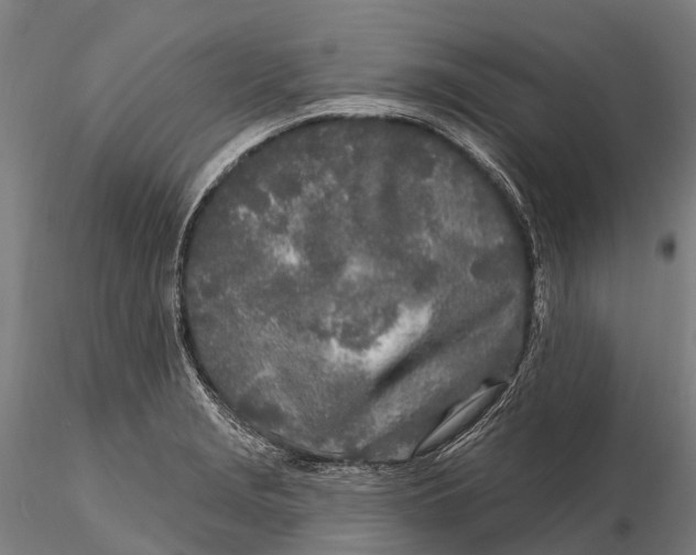 X0000115691229200912031435