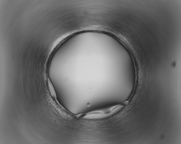 X0000115691230200912031435