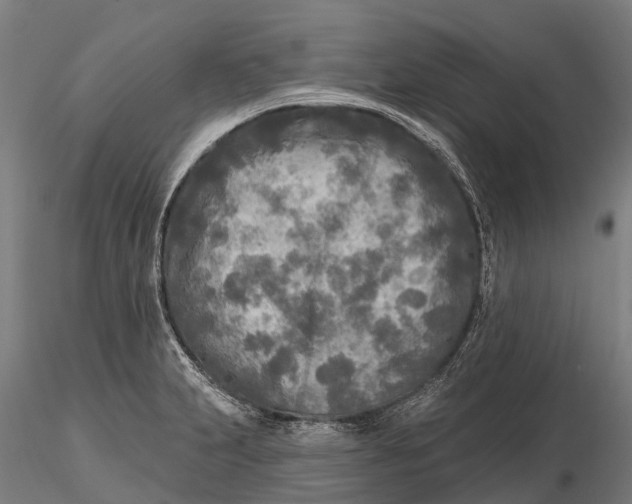 X0000115691231200912031435