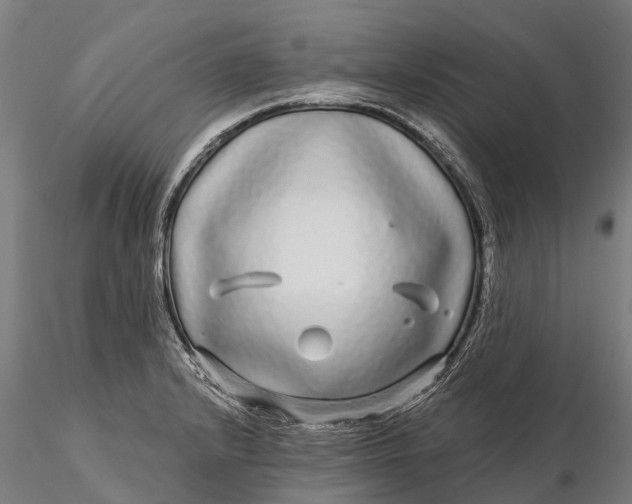 X0000115691232200912031435