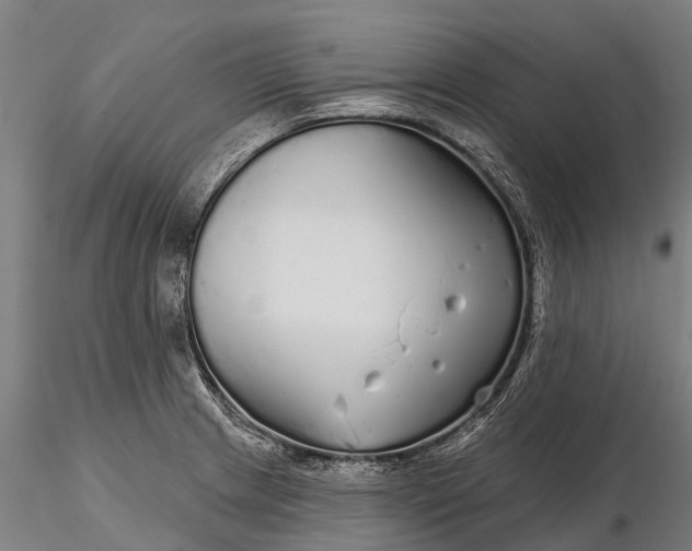 X0000115691233200912031435