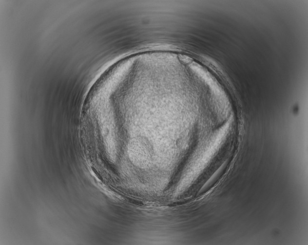 X0000115691236200912031435