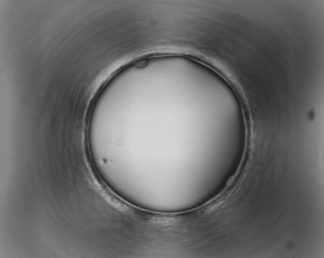 X0000115691237200912031435