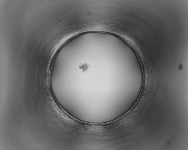 X0000115691238200912031435