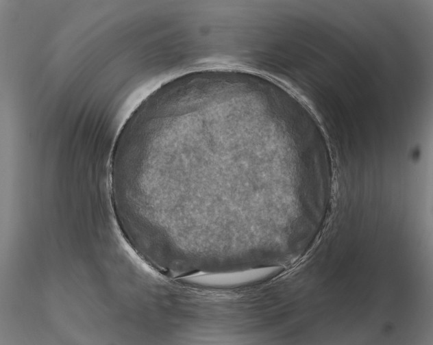 X0000115691239200912031435