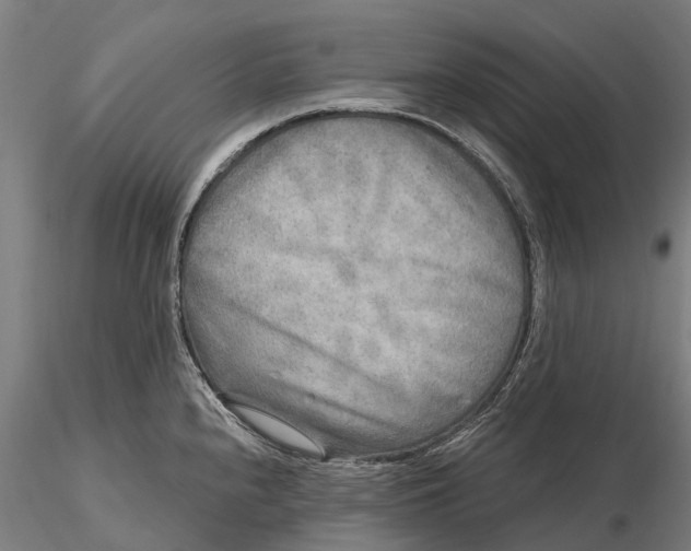 X0000115691240200912031435