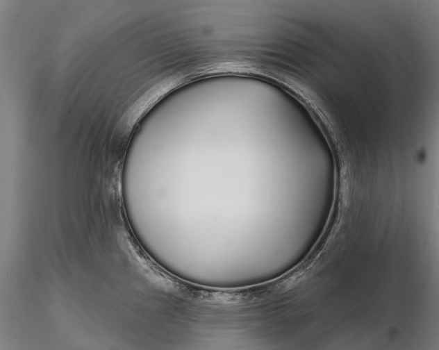 X0000115691241200912031435