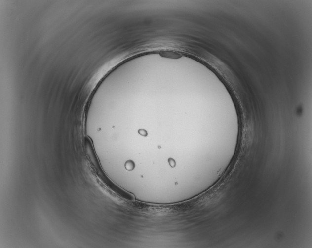 X0000115691242200912031435