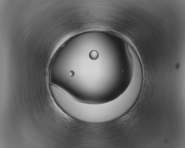 X0000115691243200912031435