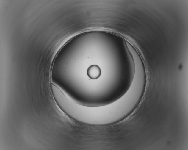 X0000115691244200912031435