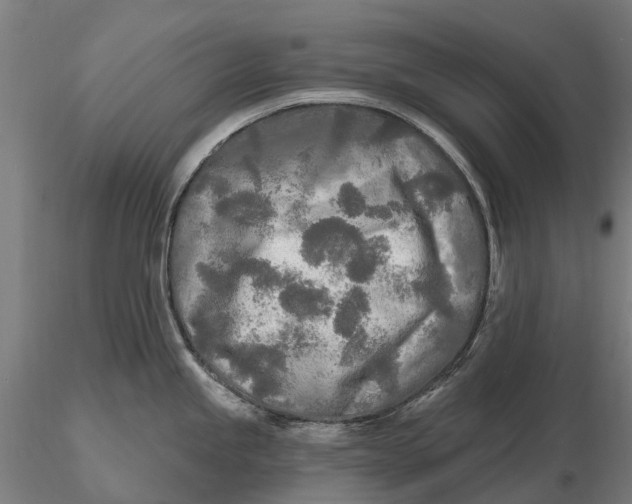 X0000115691245200912031435