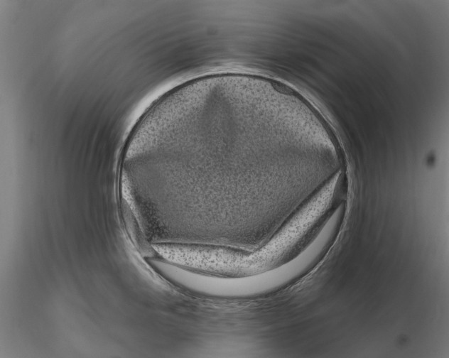 X0000115691246200912031435