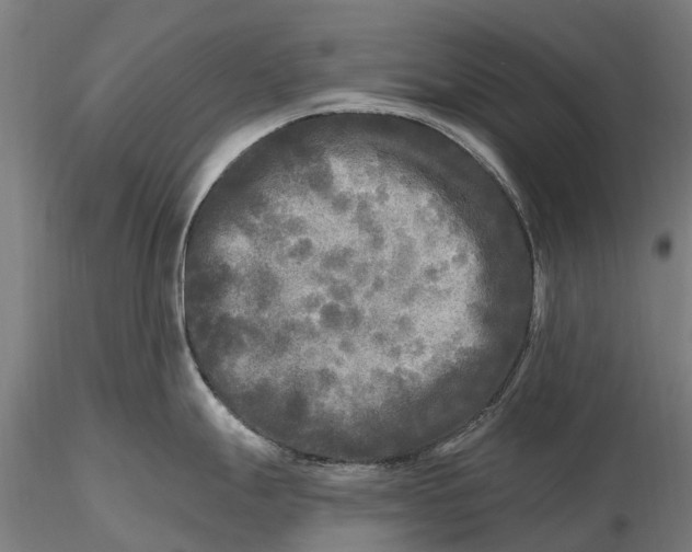 X0000115691247200912031435