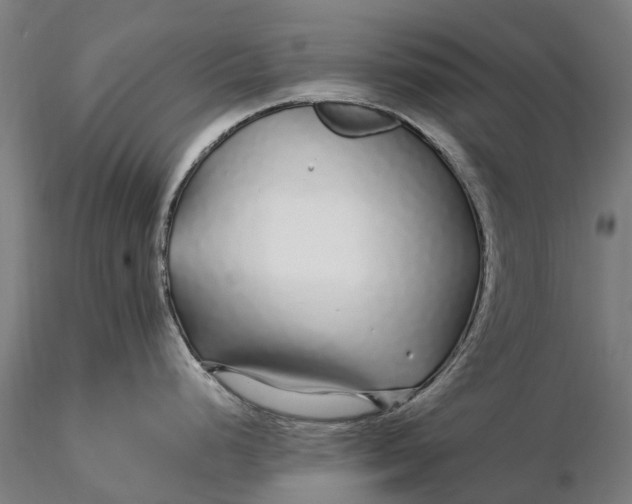 X0000115691248200912031435