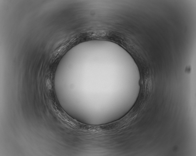 X0000115691250200912031434