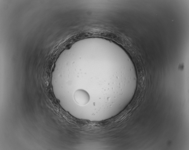 X0000115691253200912031434