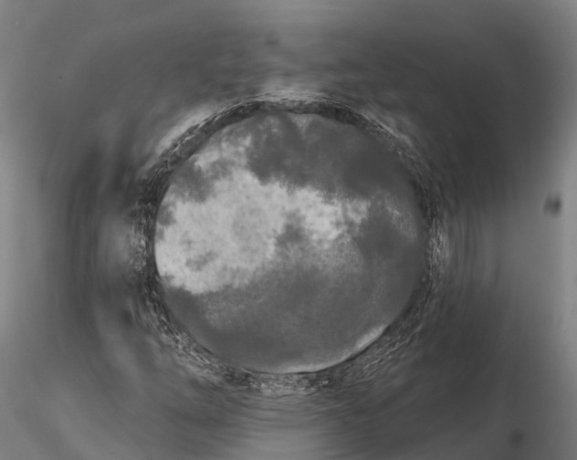 X0000115691254200912031434