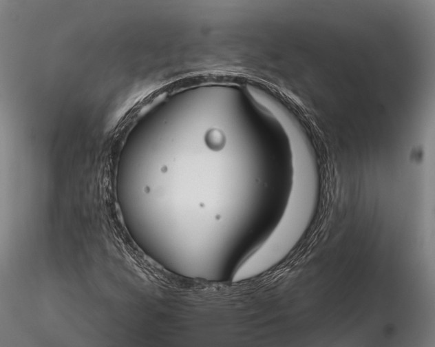 X0000115691255200912031434