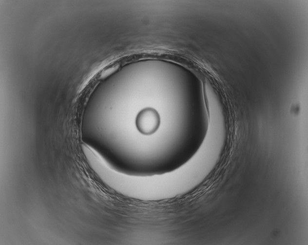 X0000115691256200912031434