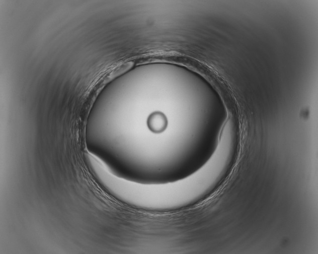 X0000115691257200912031434