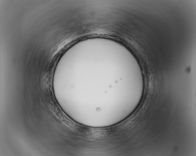 X0000115691258200912031434