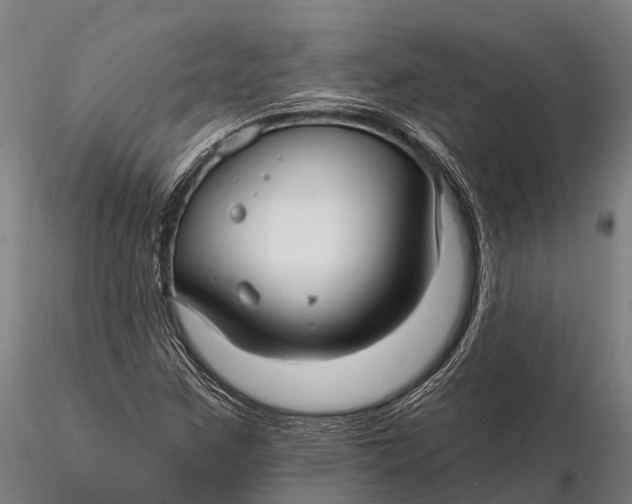 X0000115691259200912031434