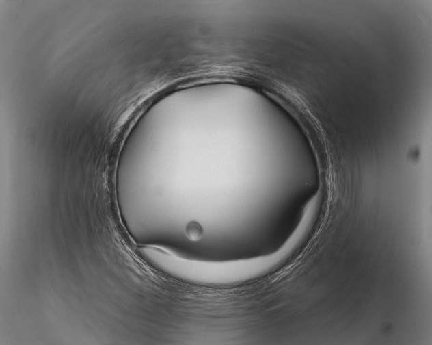 X0000115691260200912031434