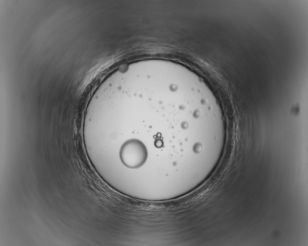 X0000115691261200912031434